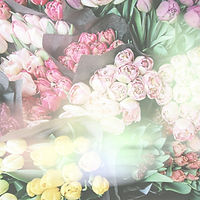 Flowers for Sale_edited.jpg