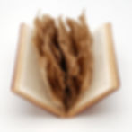 BOOK OF KNOWLEDGE