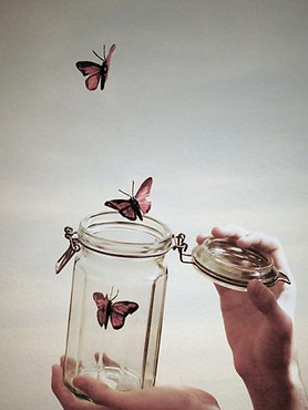 fly free little butterflies_.jpeg