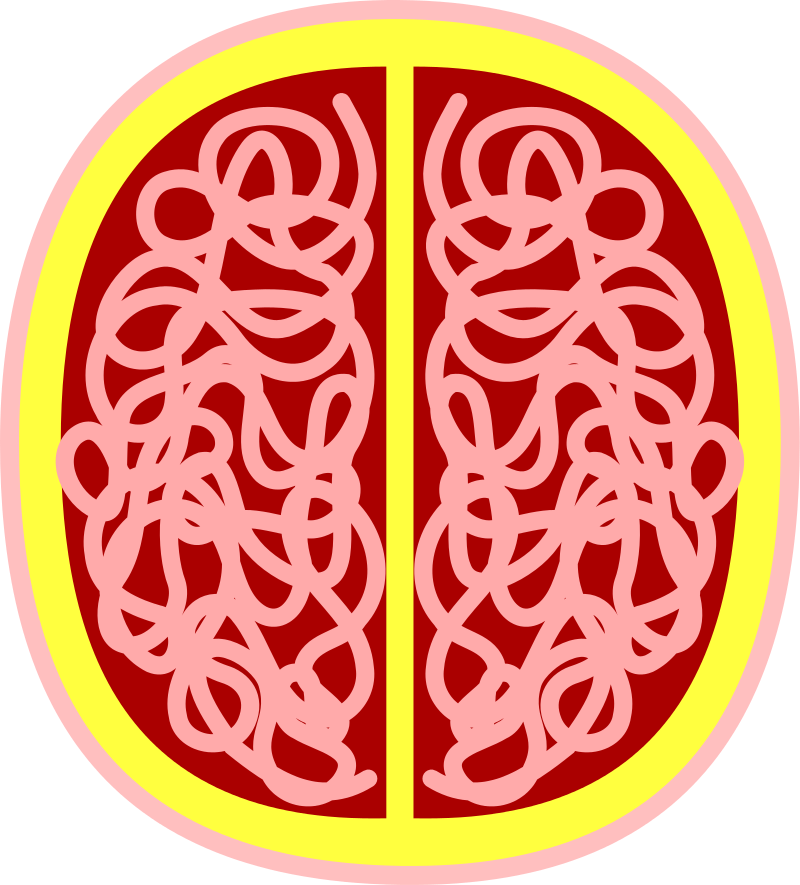 ree