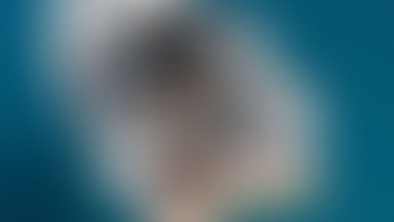  2018 Beneteau Sense 51 For Sale - €453k