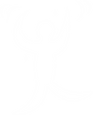 joy.png