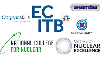 Nuclear Bodies