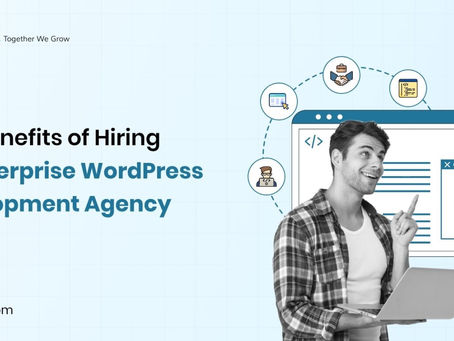 Top Benefits of Choosing an Enterprise WordPress Development Agency