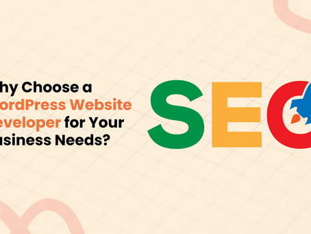 Why Choose a WordPress Website Developer for Your Business Needs?