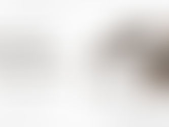 Expert WordPress Website Developers: The Key to Seamless WP Theme Development