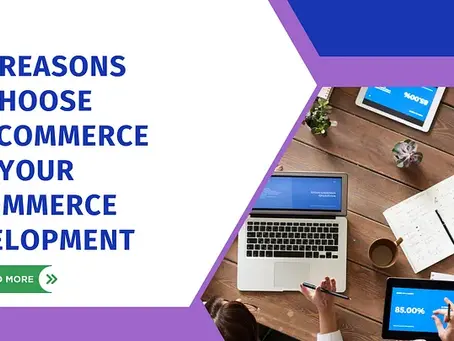Top Reasons to Choose OroCommerce for Your E-Commerce Development