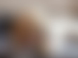 Socialisation du chiot metz