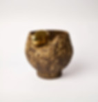 CAJU TULIPA PHALA-min.jpg