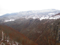 IMG_0564.JPG