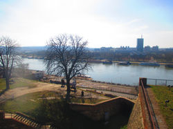 IMG_0966.JPG