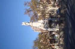 DSC09462.JPG