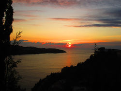 IMG_0598.JPG
