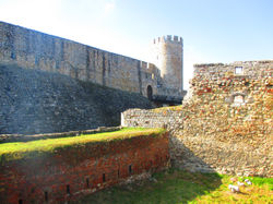 IMG_0962.JPG