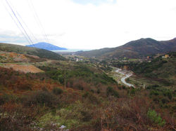 IMG_0661.JPG