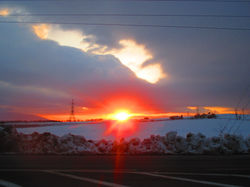IMG_0887.JPG