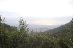 DSC09537.JPG