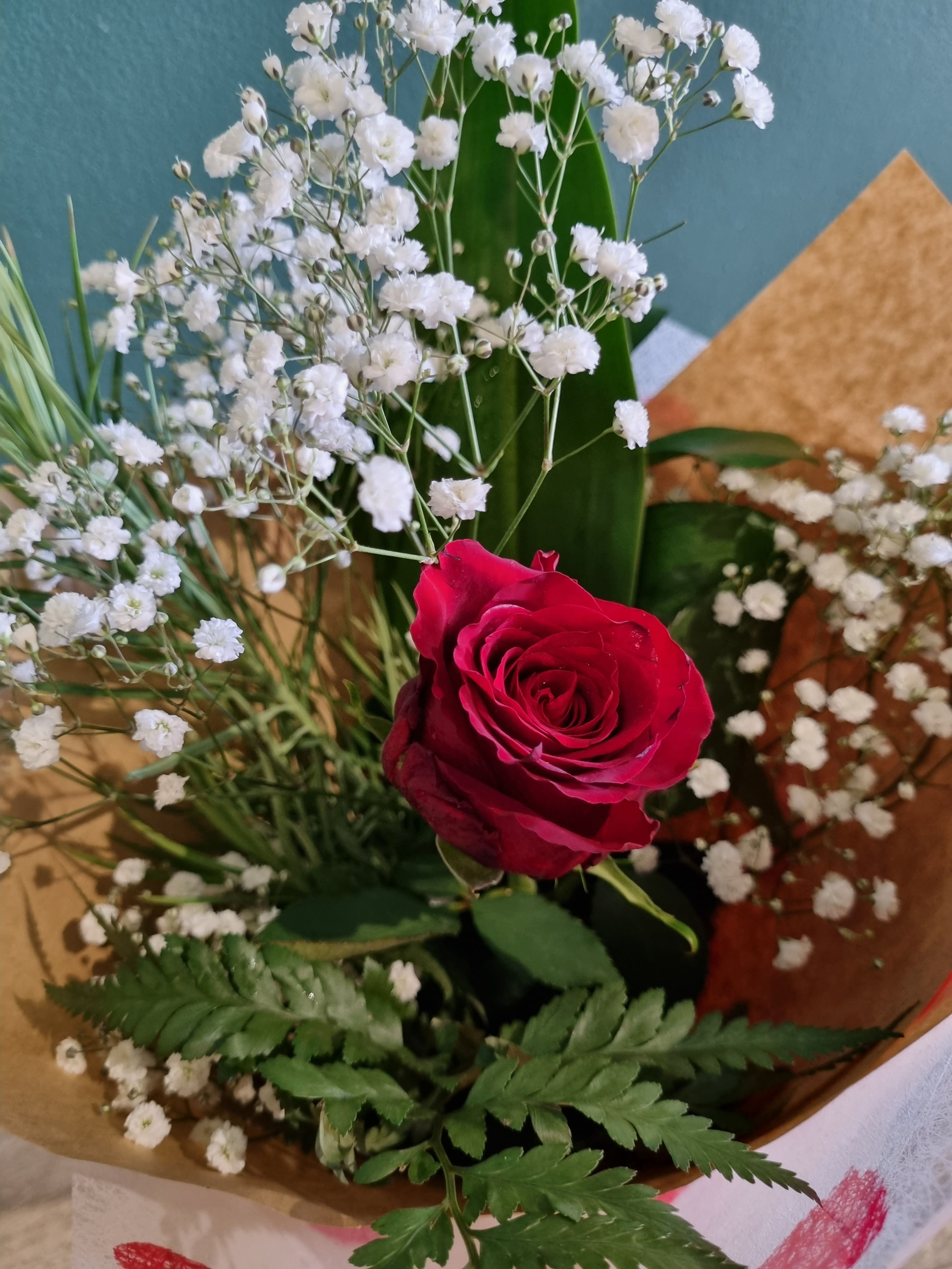 Single Gift Wrapped Rose