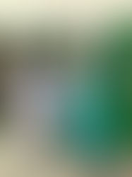 Ana Úriz y Juncal Benito, ginecólogas pamplonicas, regresan a casa