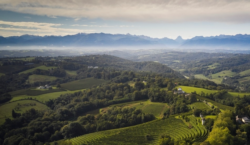 Capture d’écran 2023-02-14 à 15.42.20.png