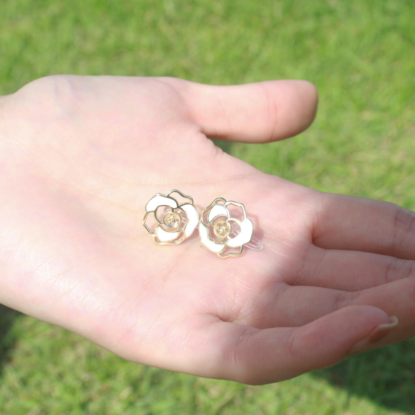 WhiteRoses 白玫瑰