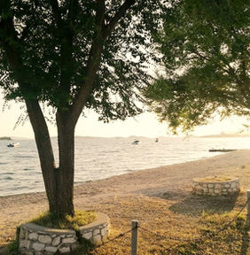 Srima Pine Tree Dalmatia
Srima pláže