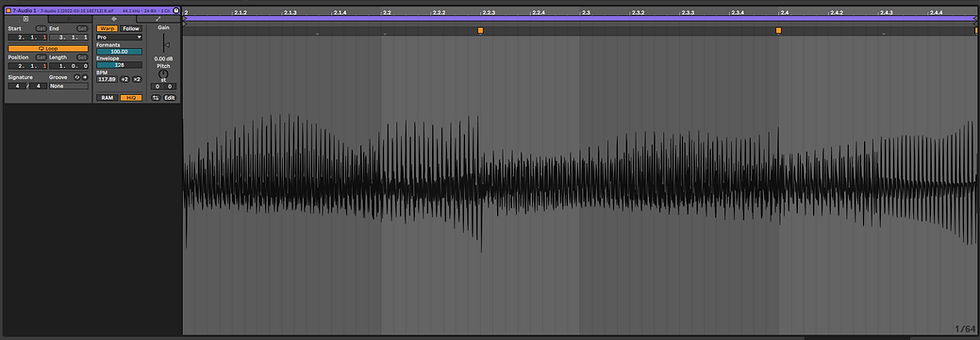 4. Samples and Loops