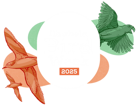 Logo IBW 25-01.png