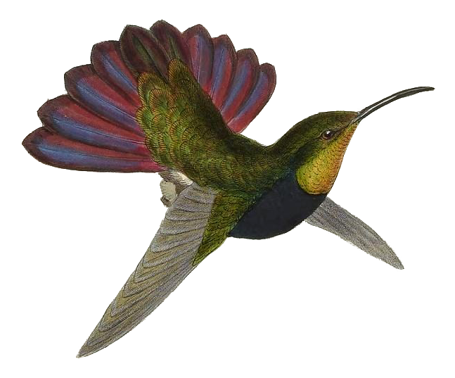 7175948512_e14127f709_3k copiar 1.png