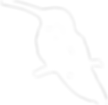 Pássaros ilhabela-02.png