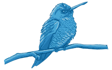 passarinho azul copiar_edited.png