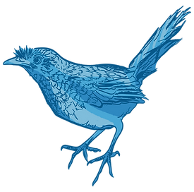 Passarinho pequeno azul.png