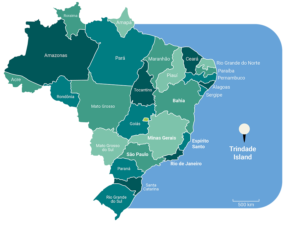 Trindade island location map