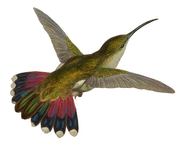 7175948512_e14127f709_3k copiar 2.png