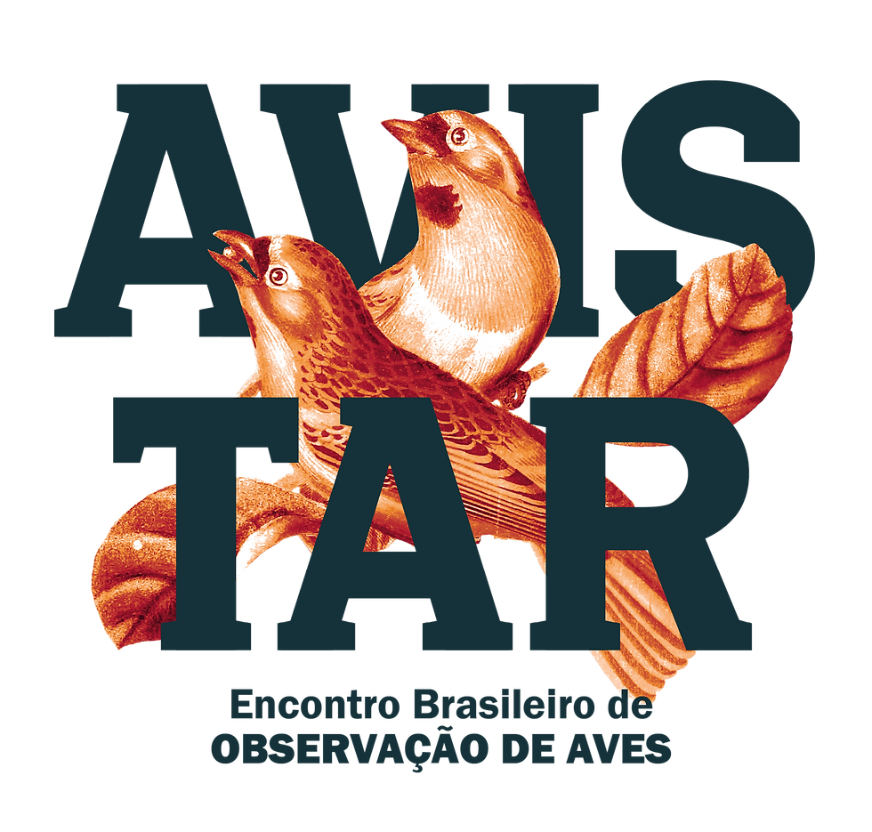 Pedaços nova ID AV26 2-10.png