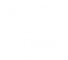Logo lettering-02.png