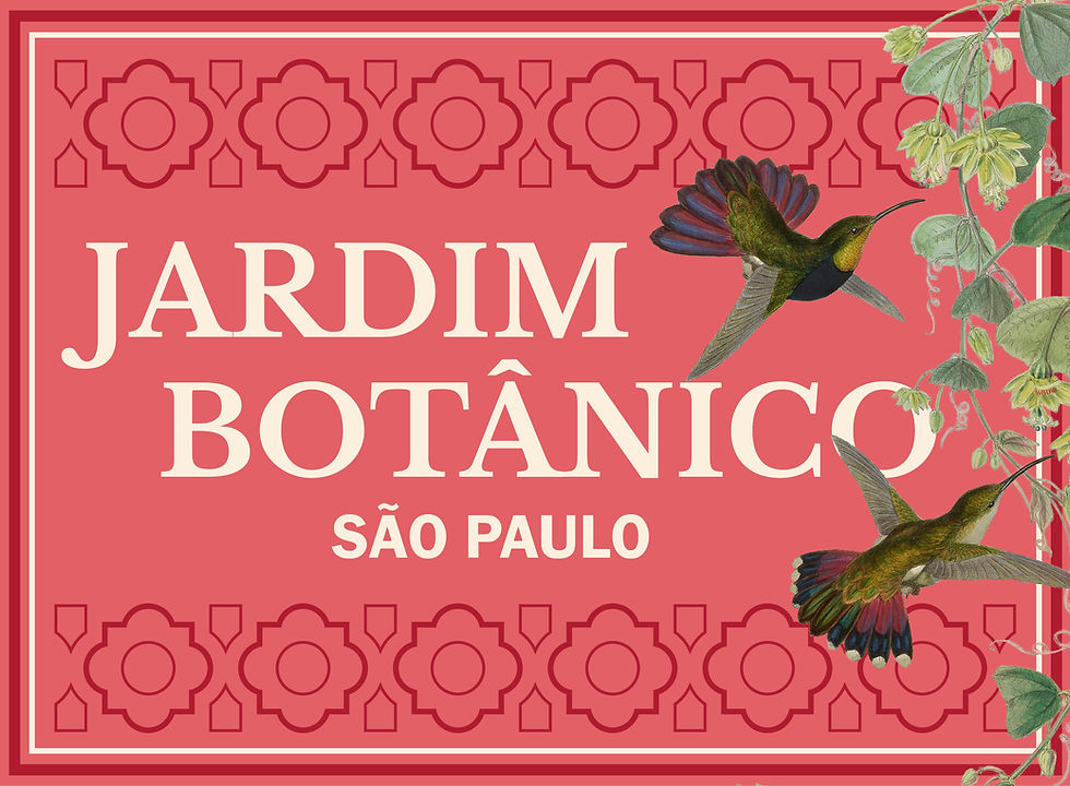 Pedaços nova ID AV26 2-16.jpg