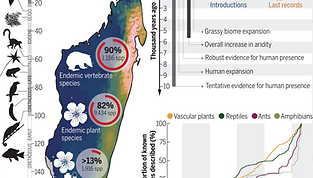 Screenshot 2023-03-16 at 12.11.04.png