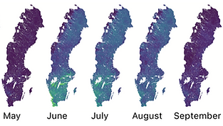 Screenshot 2025-07-15 at 22.04.33.png