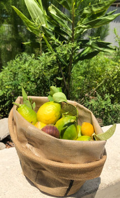 lemons and produce