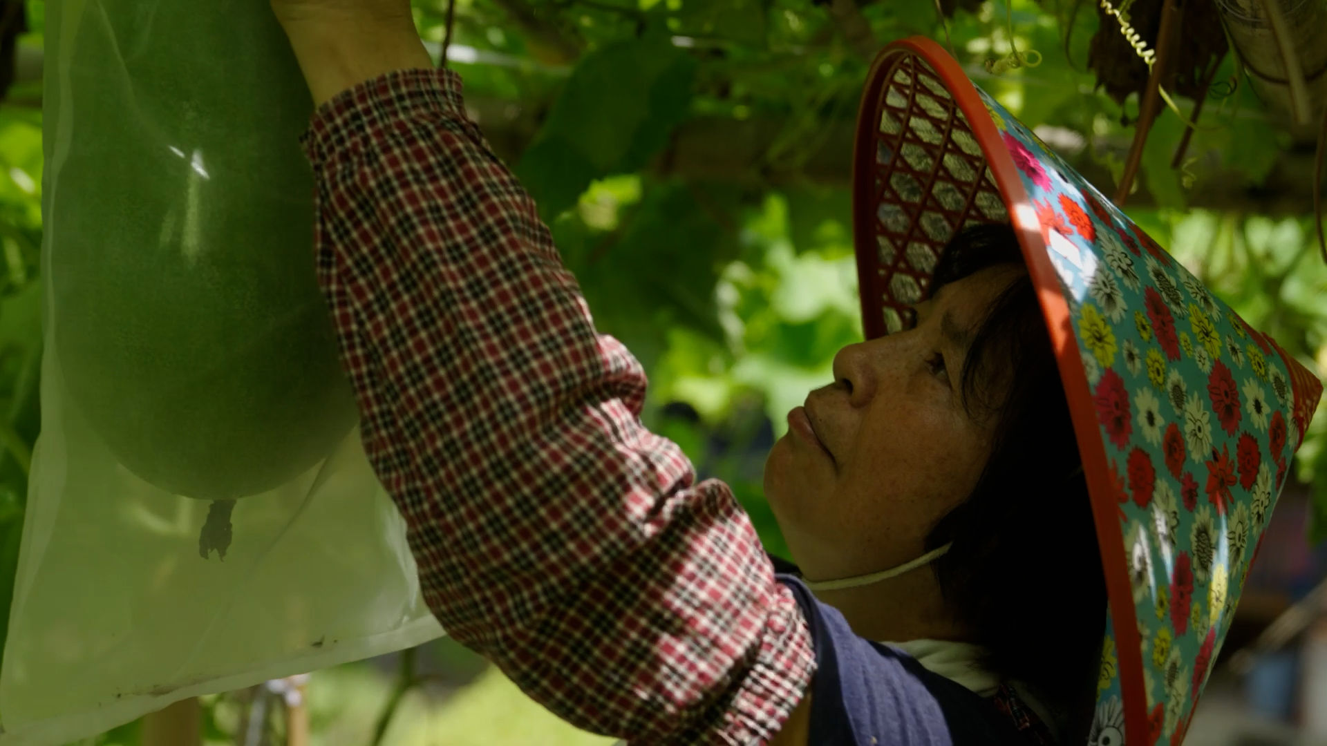 farmer tending to her crops