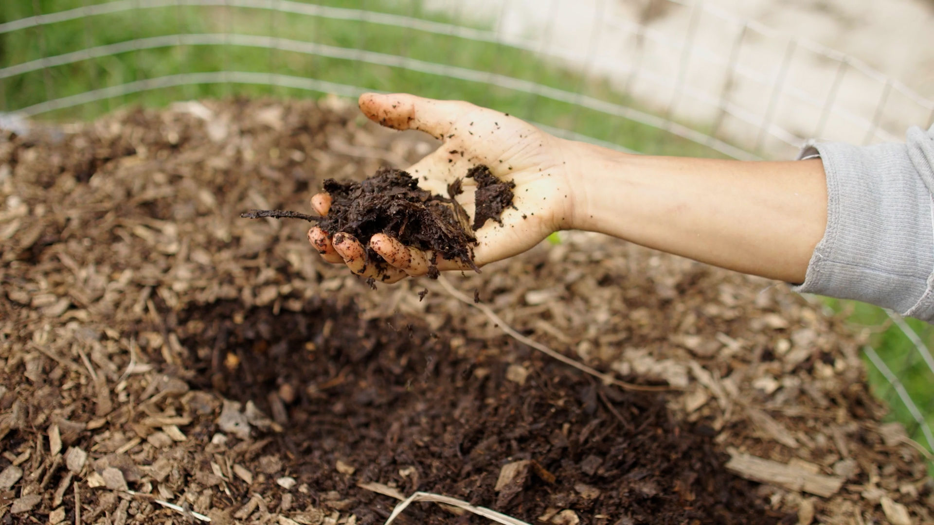 farmer checking out compost