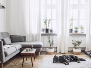 image of a lounge