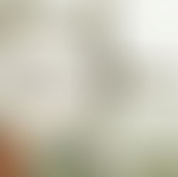 A Estância Turística de Batatais