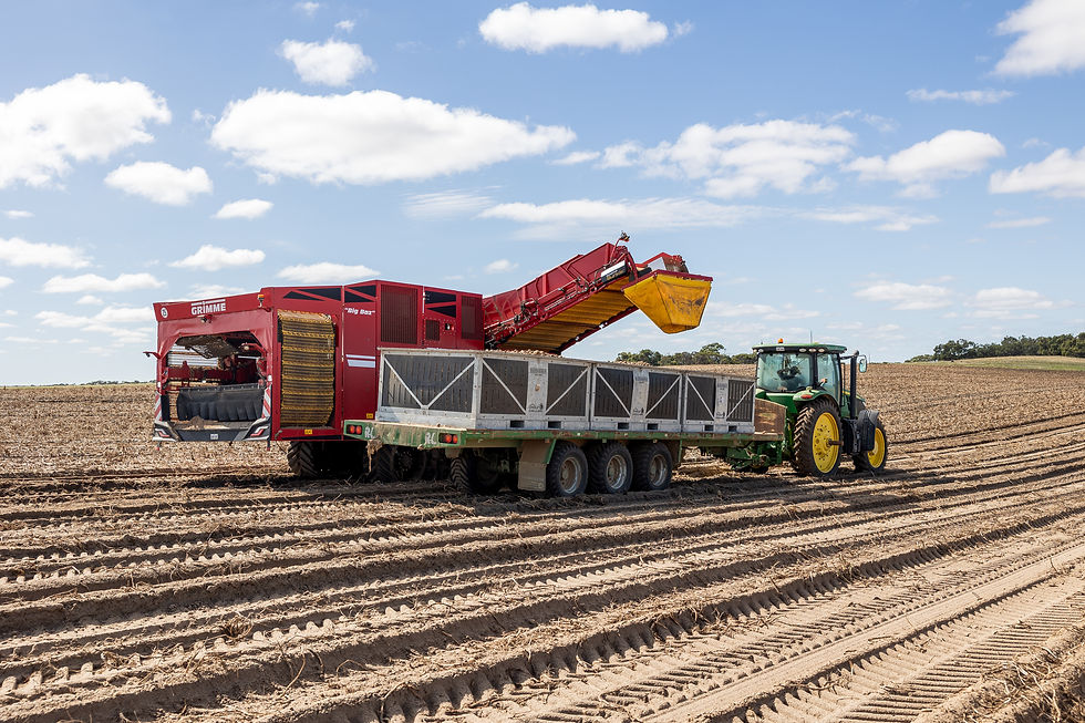 4 Tonne Bin (2).jpg