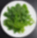 Wasabi Rocket - how to grow your own