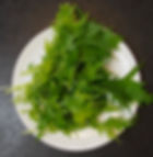 Fresh green mizuna leaves on a white plate against a dark background, displaying a vibrant and healthy appearance.