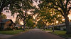 wide_landscape_photograph_of_a_quiet_tree-lined_residential_street_in_suburban_northern_ca