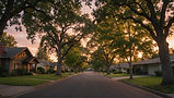 wide_landscape_photograph_of_a_quiet_tree-lined_residential_street_in_suburban_northern_ca