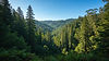 wide_ultra-sharp_daytime_landscape_photograph_of_the_forested_ridges_of_the_east_bay_hills